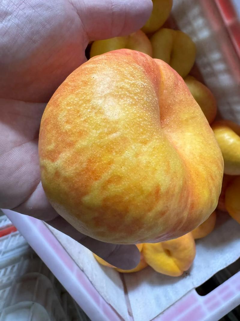 快消品配送行业动态:如何在竞争中突围
